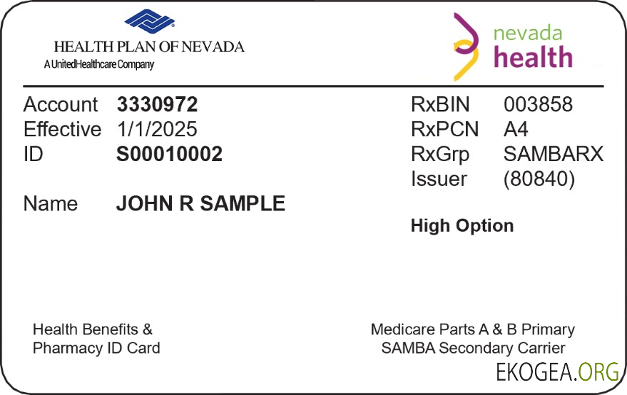 Carte d'assurance maladie du Nevada